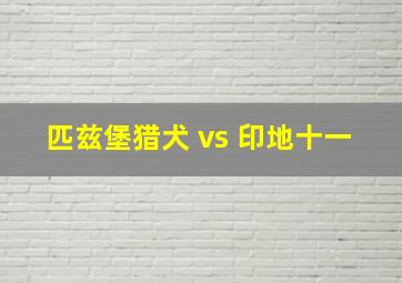 匹兹堡猎犬 vs 印地十一